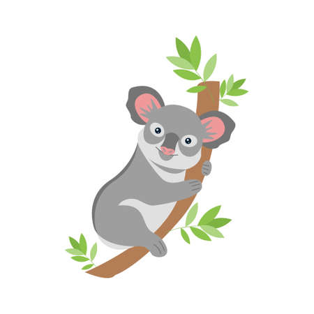 Koala bear on a branch in flat style isolated on white background. Mammal animal of Australia. Stock vector illustration.のイラスト素材