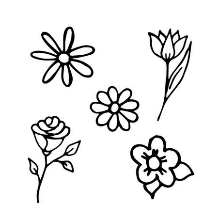 Flowers set hand drawing sketch doodle style isolated on white background. Vector stock illustration.のイラスト素材