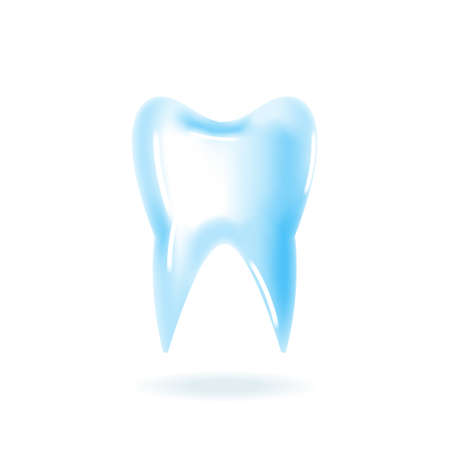 Realistic human tooth with shadow isolated on white background. Vector stock illustration.のイラスト素材