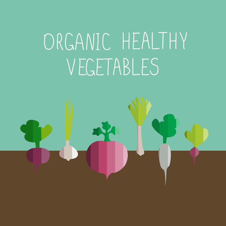 illustration of growing vegetables in modern flat design styleのイラスト素材