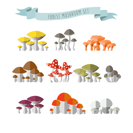 illustration of colorful flat design style forest mushrooms with ribbon and signatureのイラスト素材