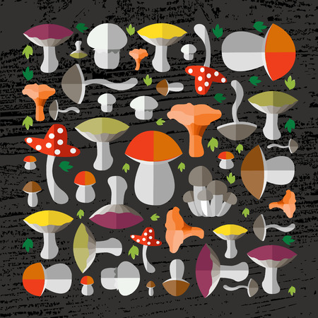 illustration of colorful flat design style forest mushrooms on textured wood backgroundのイラスト素材