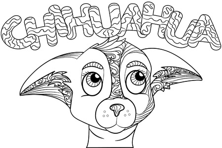 Zentangle stylized doodle ornate vector of chihuahua dog head. Zen art drawing. Animal ethnic tribal ornament suits as tattoo, logo template, decorative print, adult coloring book sketchのイラスト素材