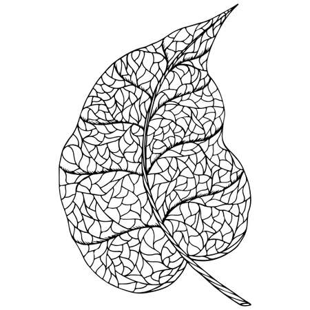 Doodle leaf element black and white isolated.のイラスト素材