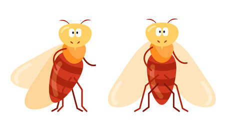 cartoon character cicada in full face and profile, insectのイラスト素材
