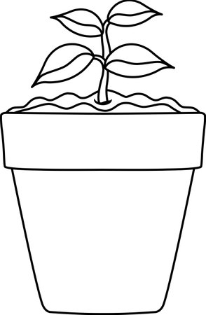 bright vector illustration of a pot with seedlings, a young plant, indoor plants and a vegetable garden, doodle and sketchのイラスト素材
