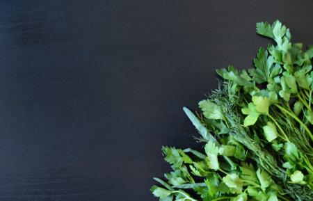 photo greenery on a dark wooden background, healthy food, twigs of plants, lower cornerの写真素材