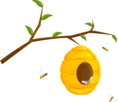 vector illustration of a bee hive on a branch, wild bees, a house of bees on a tree, flying aroundのイラスト素材