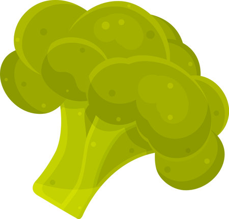 color vector illustration of broccoli, proper nutrition, vegetarian food, green cabbage, greens and vegetablesのイラスト素材