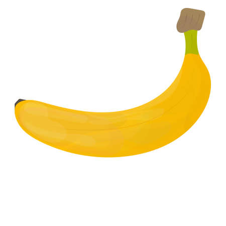 Ripe yellow banana isolated on white background with shadow, vector illustration.のイラスト素材