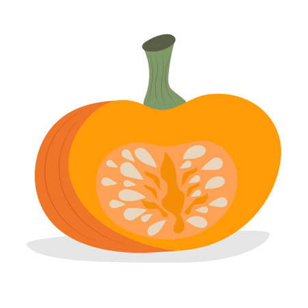 Orange ripe pumpkin in a section with seeds. flat style. Vector.のイラスト素材