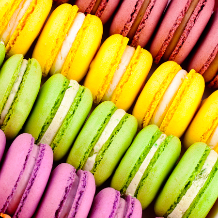 bright and colorful cookies laid out in a rowの写真素材