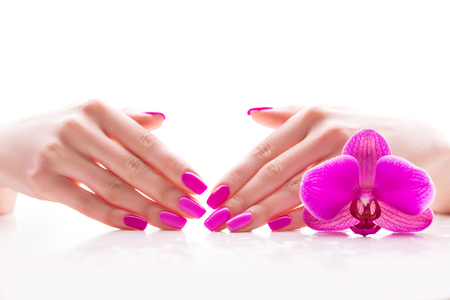 beautiful female hands with pink nail polish on a white background, spa treatmentsの写真素材