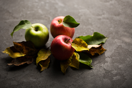 beautiful and ripe apples in autumn foliageの写真素材