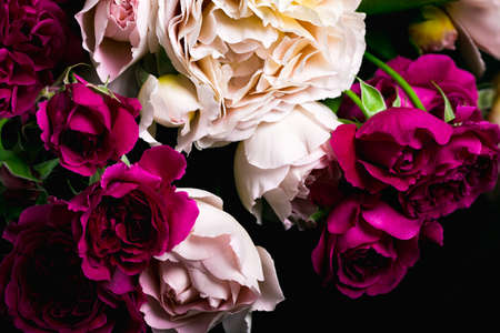 large bouquet of beautiful roses, card of different colors of rosesの写真素材