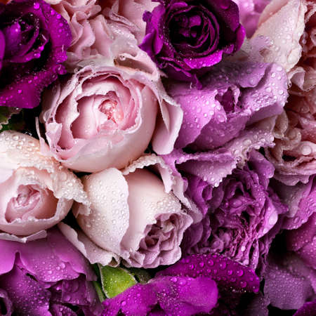 large bouquet of beautiful roses, card of different colors of rosesの写真素材