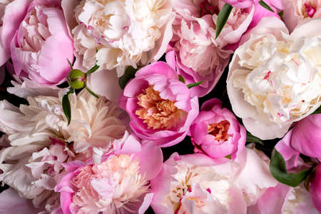 pink peonies collected in a large bouquet, summer garden flowerの写真素材