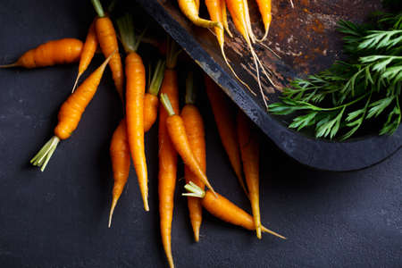 a lot of young carrots on a dark background, a fresh root vegetable on the table at the Vigetorianの写真素材