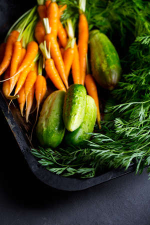 young carrots with cucumbers on a dark background, fresh vegetables from the gardenの写真素材