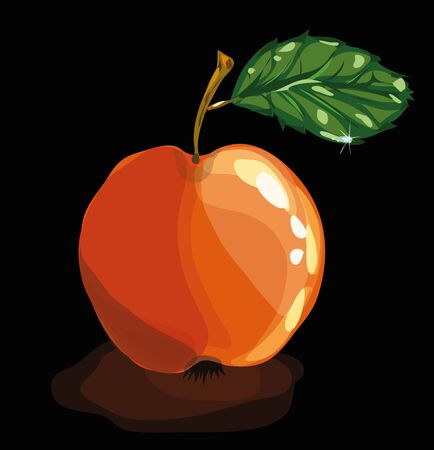  	red Apple with a leaf on a black background vectorのイラスト素材