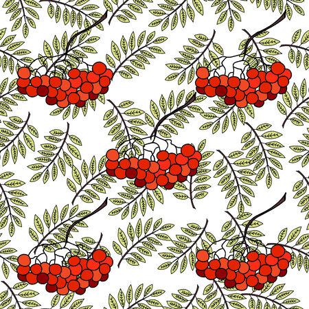red ashberry with a green leaf on a white background pattern vectorのイラスト素材