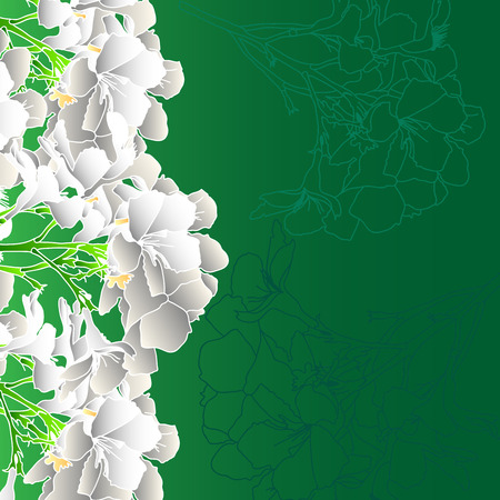 beautiful green background with white flowers flowers vectorのイラスト素材