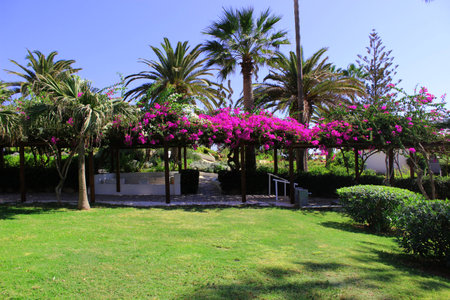 Agia Napa, Cyprusの写真素材