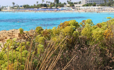 Nissi Beach, Agia Napaの写真素材