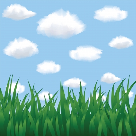 Green grass, blue sky and clouds in summertimeのイラスト素材