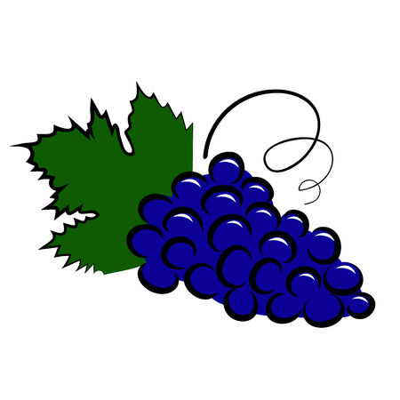 Hand-drawn icon of grape. Vector illustrationのイラスト素材
