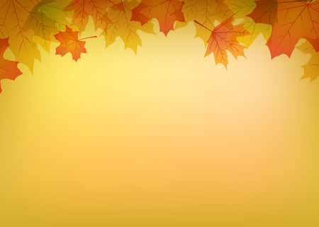 Autumn decorative background with colorful maple leavesのイラスト素材