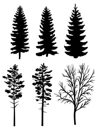 Set of black silhouettes of forest trees, fir and pineのイラスト素材