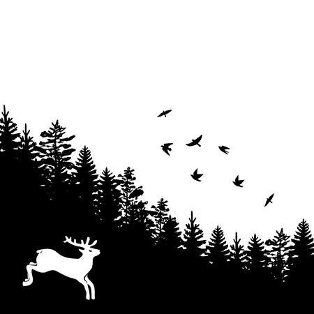 Woodland background with black silhouettes of fir trees and pines with birdsのイラスト素材