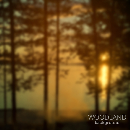 Blurry forest and lake backgroundのイラスト素材