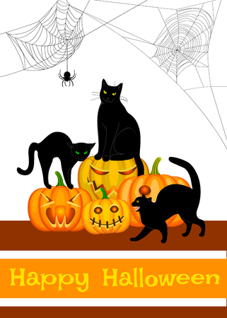 Spider webs, black cat and bats isolated on whiteのイラスト素材