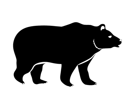 bear isolated on whiteのイラスト素材
