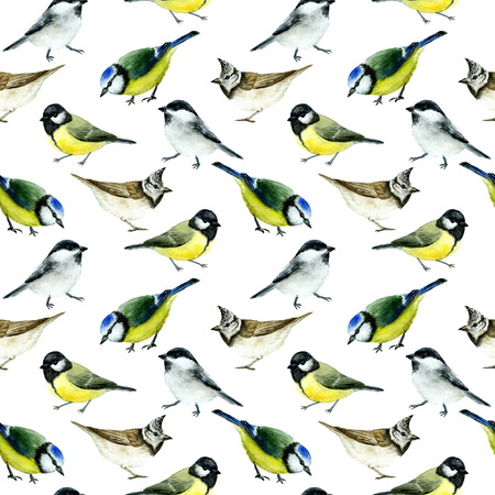tit birds seamlessの写真素材