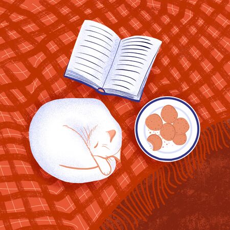 Cat sleeping with open book and snacks on redの写真素材