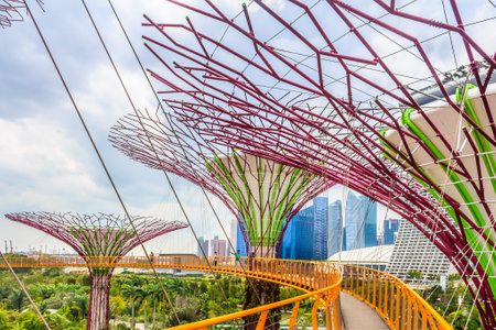 Singapore Supertrees at the Gardens By The Bayのeditorial素材