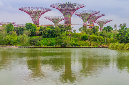 Singapore Supertrees at the Gardens By The Bayのeditorial素材