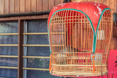 Dove in a traditional birdcage hanging outside of a house in Chew Jetty floating village in Georgetown Penang Malaysiaの写真素材