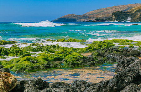 Tropical lagoon and tide pools on a rocky beach in Oahu, Hawaiiの写真素材