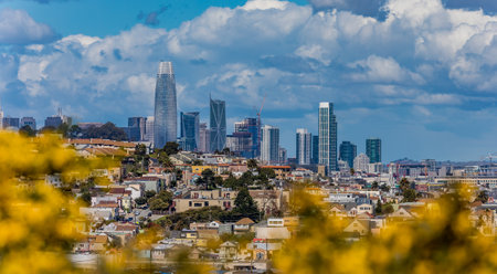 San Francisco springtime city skyline panorama with blooming yellow flowers in the foregroundのeditorial素材