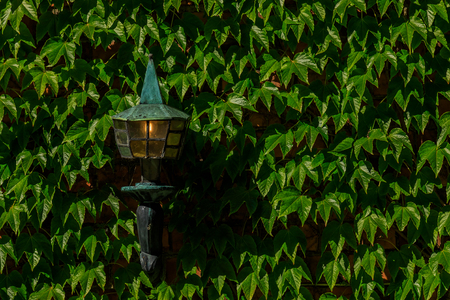 Close up of a brick wall covered with ivy and an antique light fixture in the courtyard of City Hall or Stadshuset in Stockholm, Swedenの写真素材
