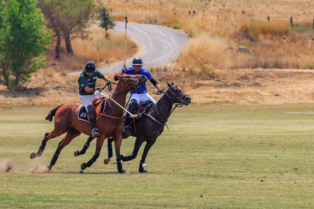 Polo players riding on horseback after the polo ball at high speedのeditorial素材