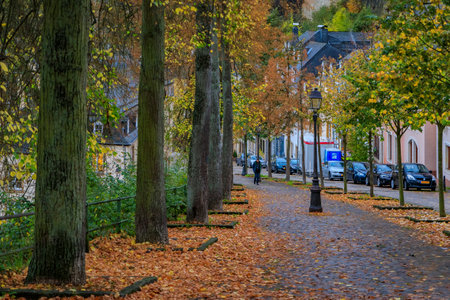 Luxembourg - October 21 2017: Tree lined alley and traditional architecture of old European buildings and cobblestone pavement on a cloudy autumn dayのeditorial素材