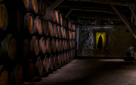 Porto, Portugal - May 31, 2018: Stored branded barrels of port wine on display at Sandeman cellar, popular brand founded in 1790 in Vila Nova de Gaiaのeditorial素材