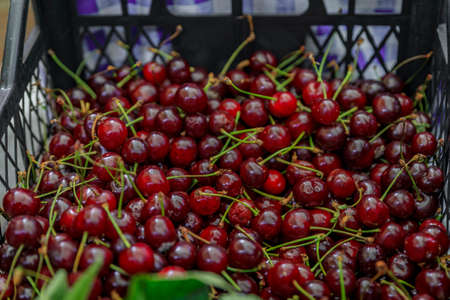 Bright red ripe sour cherries in a basket for sale in at an outdoor farmer's market in old town Kotor, Montenegroの写真素材