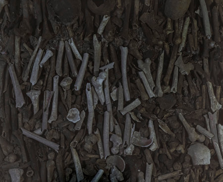 Porto, Portugal - May 30, 2018: Ossuary with human bones seen through glass in the floor of the...