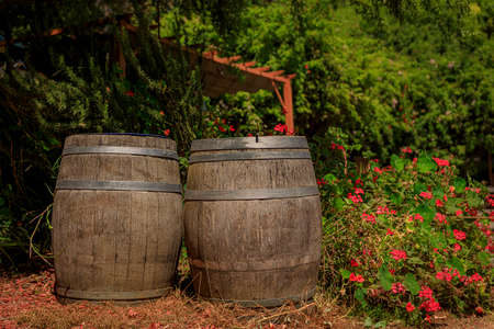 Wine barrels in the foreground in the spring a winery in Half Moon Bay, California, USAの写真素材